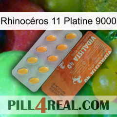 Rhinocéros 11 Platine 9000 43